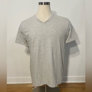Express V-Neck Gray T-shirt